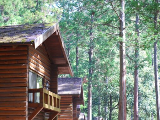 Scrubbie Pines Campground