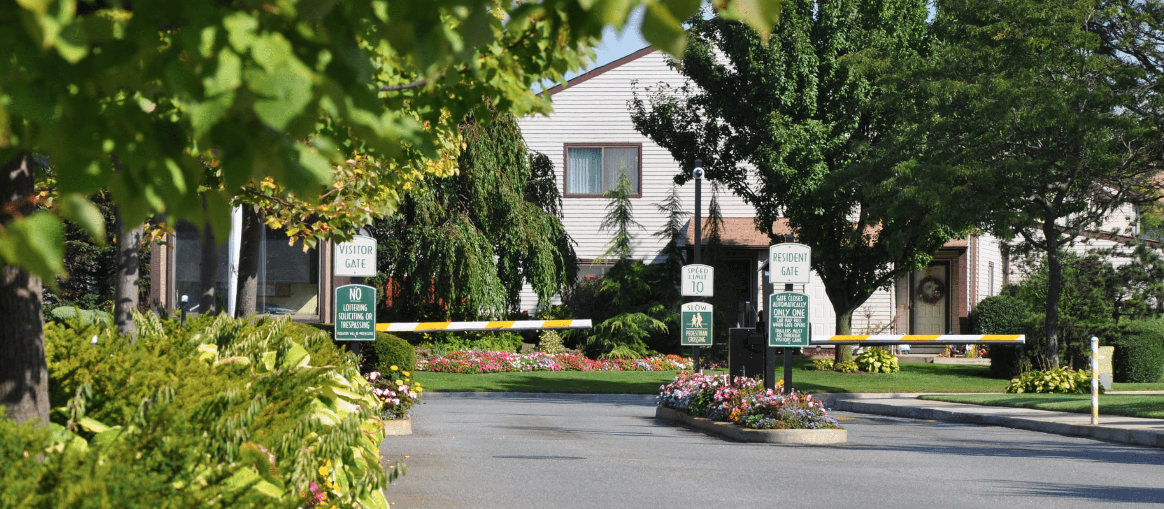 Screen Shot 2020-12-10 at 6.14.42 PM